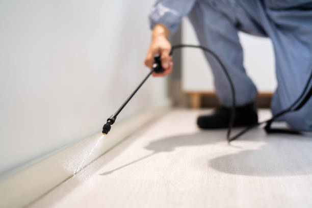 Licensed Pest Control service in Chester, CA - Show Me Pest Control