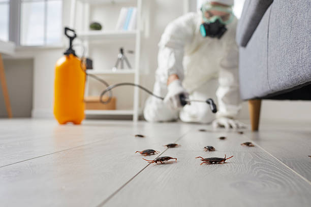 Commercial Kitchen Cockroach Control in Chester
